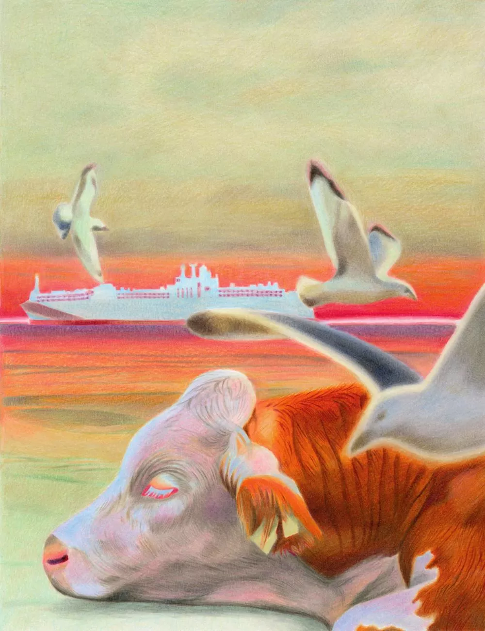 Une vache allongée avec des mouettes volant autour, sur fond de coucher de soleil et d'un bateau de croisière à l'horizon.