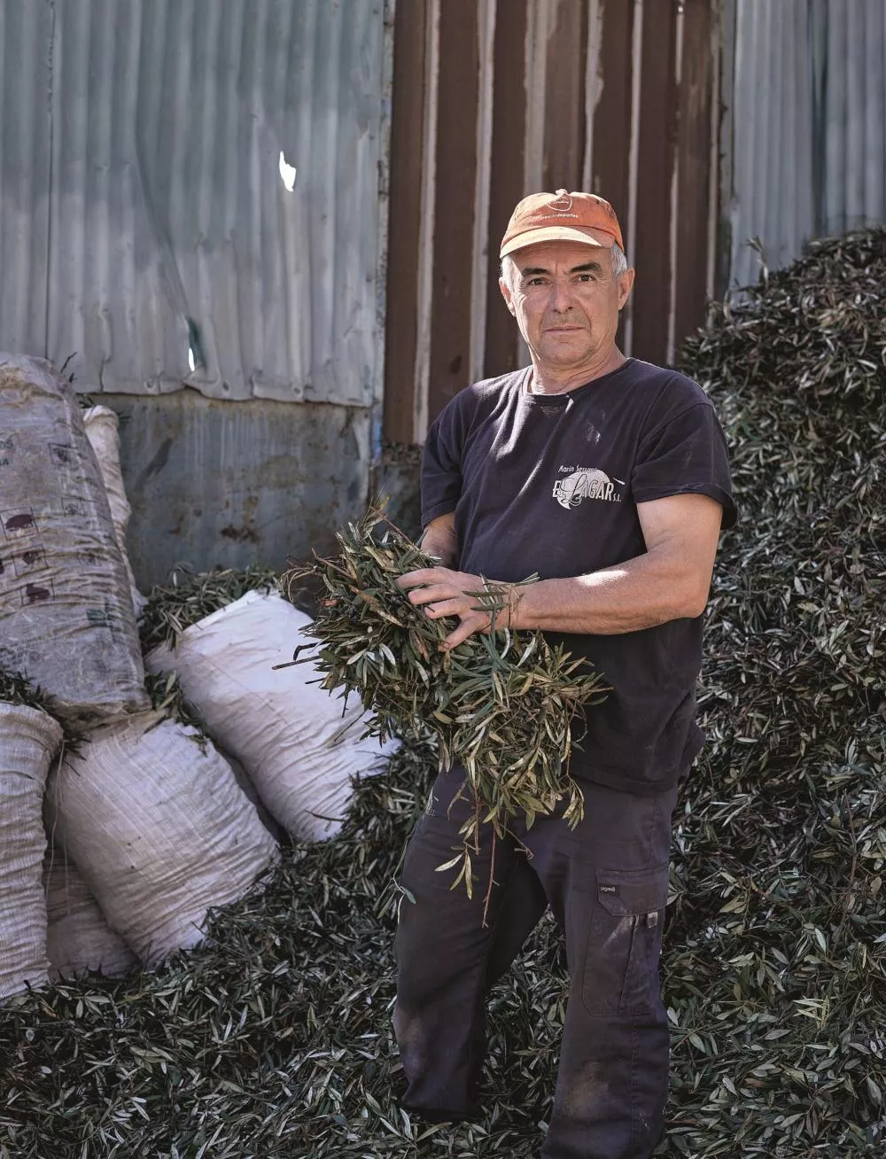 Un homme portant une casquette orange et un t-shirt noir tient des branches d'olivier devant un tas de feuilles et de sacs dans un environnement extérieur.