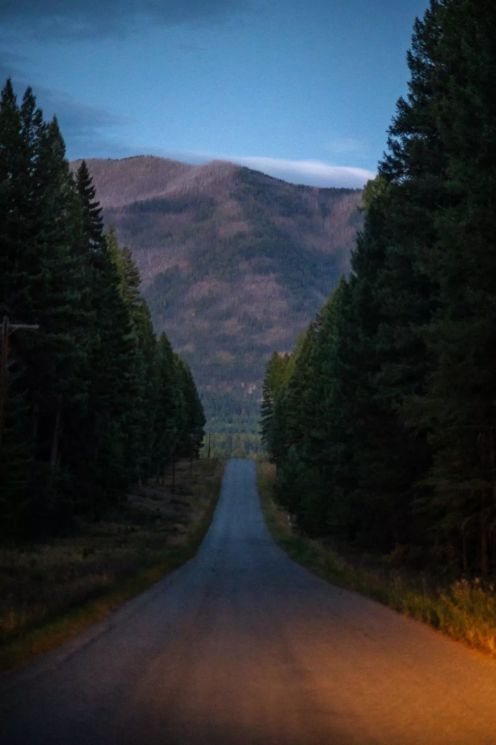Un chemin rectiligne bordé d'arbres mène vers une montagne au loin, sous un ciel légèrement nuageux.