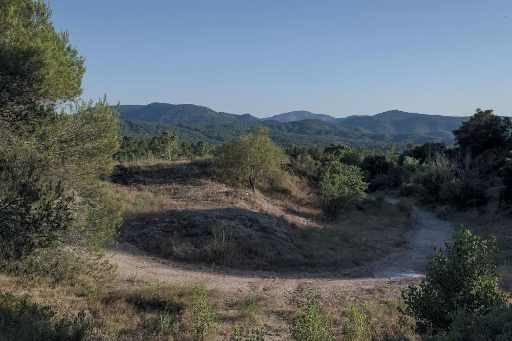 Un paysage naturel avec des collines boisées, un chemin de terre et des arbres épars sous un ciel dégagé.