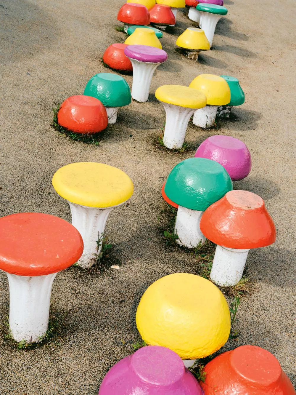 Des champignons en béton de différentes couleurs (rouge, jaune, vert, violet) sont alignés sur un sol sablonneux.