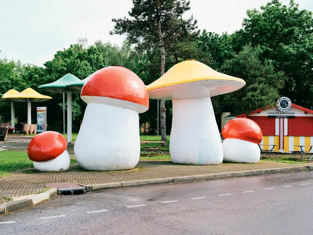 L'image montre des sculptures géantes de champignons colorés dans un espace extérieur, avec un kiosque de snacks et boissons en arrière-plan.