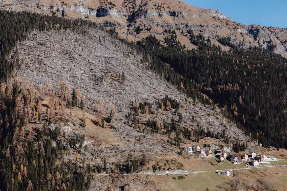 Une colline avec une forêt en partie dévastée, probablement par une tempête, avec des arbres renversés. Au pied de la colline, un petit village avec plusieurs maisons entourées de montagnes.