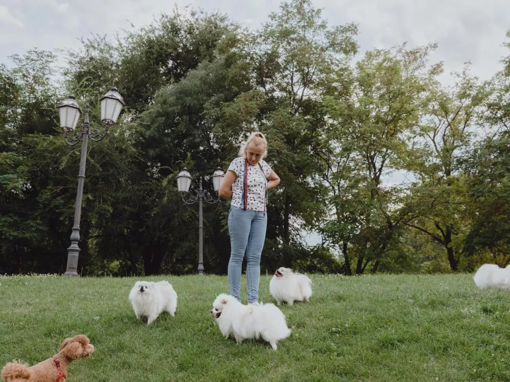 Une personne se tient dans un parc entourée de plusieurs petits chiens blancs, avec des lampadaires et des arbres en arrière-plan.