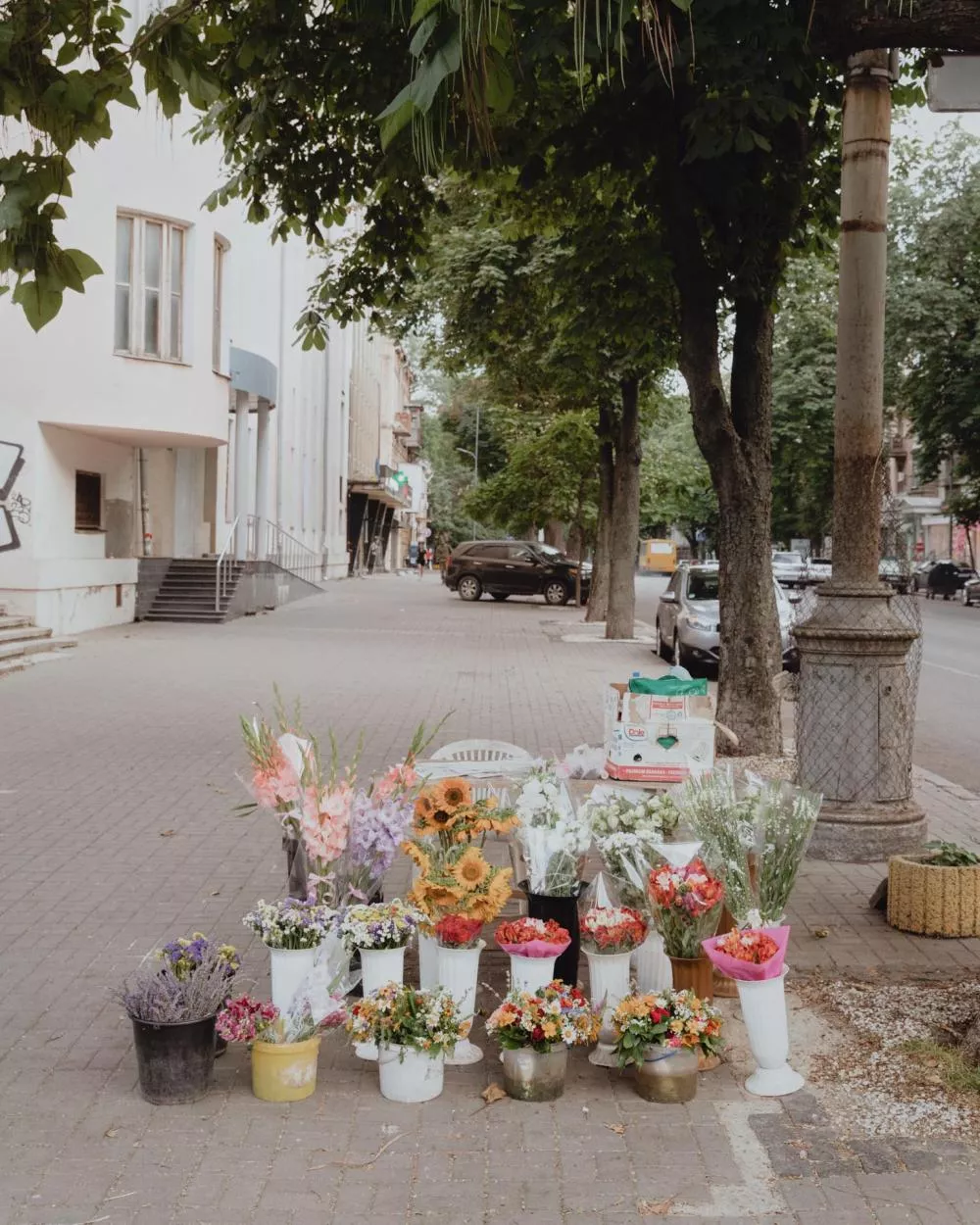 Un étal de fleurs sur un trottoir, avec plusieurs bouquets colorés disposés dans des pots et des vases. En arrière-plan, une rue bordée d'arbres et de bâtiments.