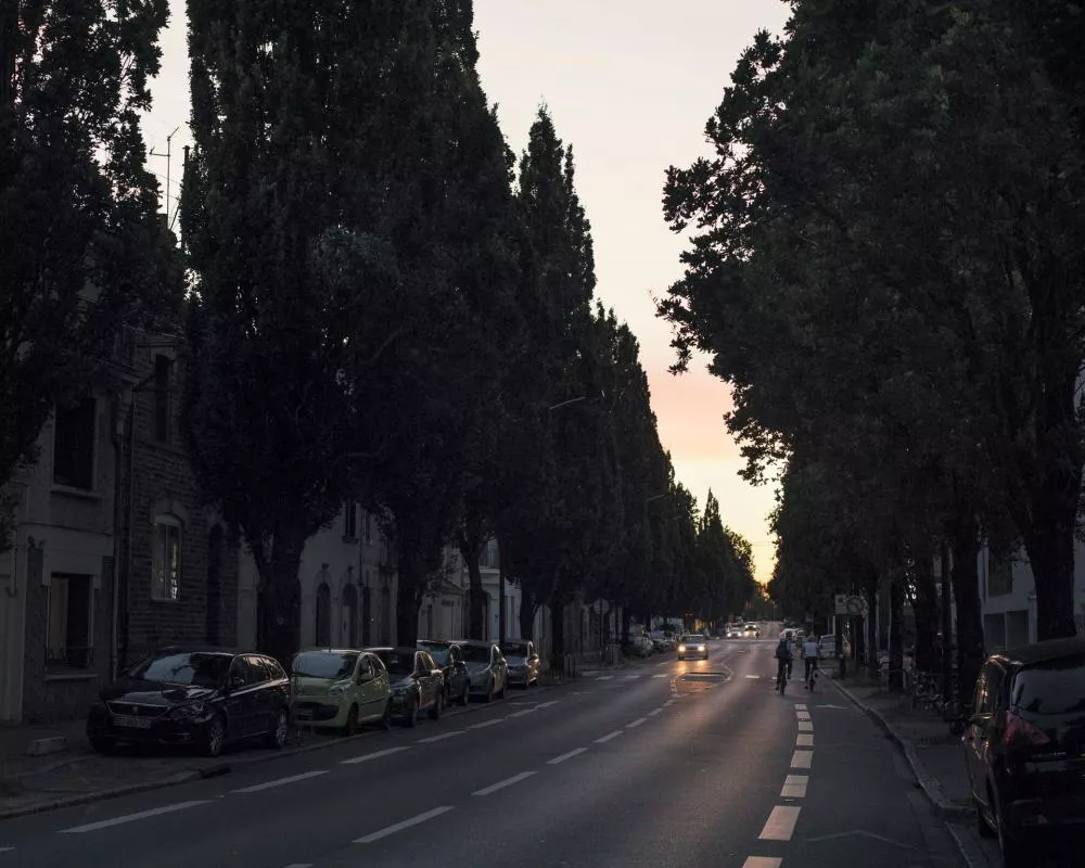Une rue bordée d'arbres avec des voitures garées sur le côté et des lumières de voiture visibles au loin, sous un ciel crépusculaire.