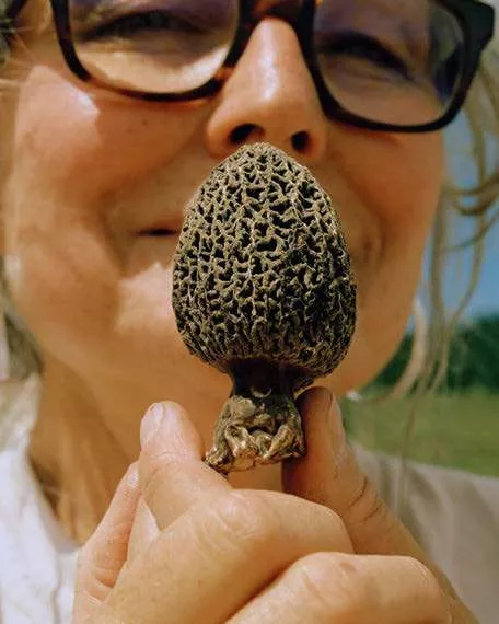 Une personne tient un champignon morille devant son visage.