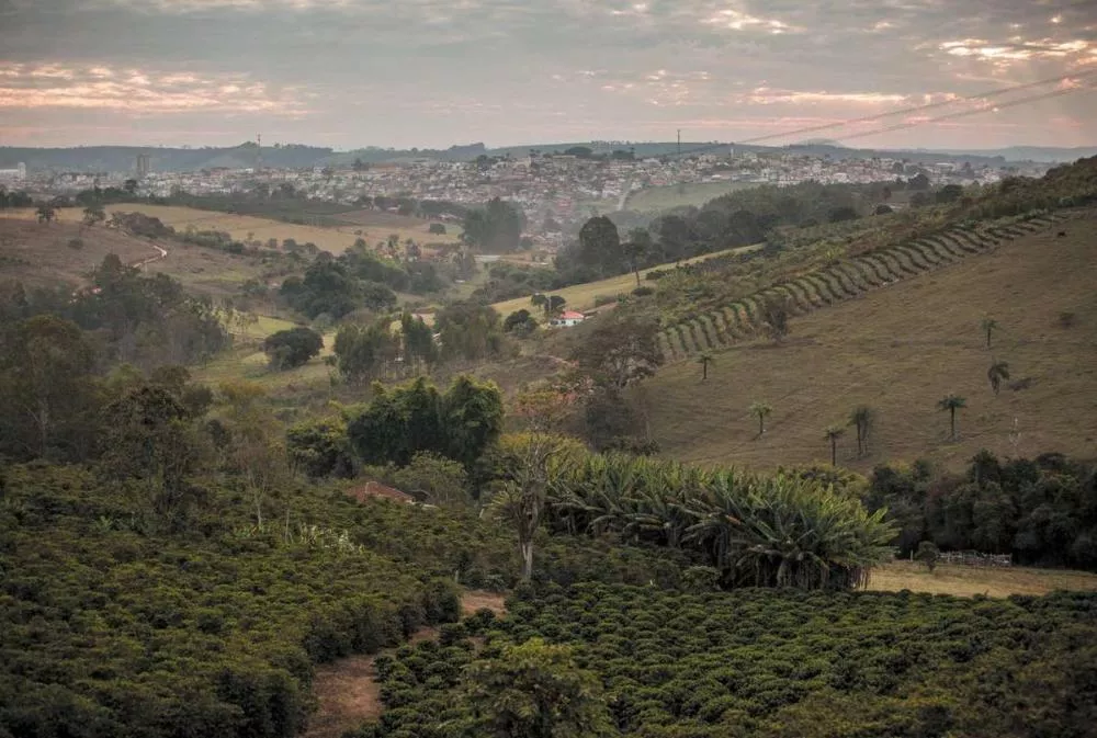 Paysage rural avec des champs cultivés, des arbres et des collines. En arrière-plan, on aperçoit une petite ville sous un ciel partiellement nuageux.