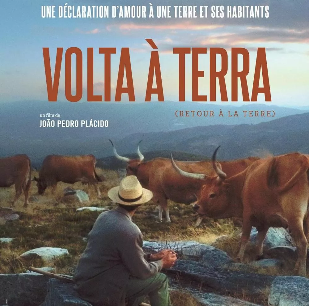 Un homme avec un chapeau regarde des vaches dans un paysage naturel. Le texte mentionne "Volta à Terra" (Retour à la Terre), un film de João Pedro Plácido, décrit comme une déclaration d'amour à une terre et ses habitants.