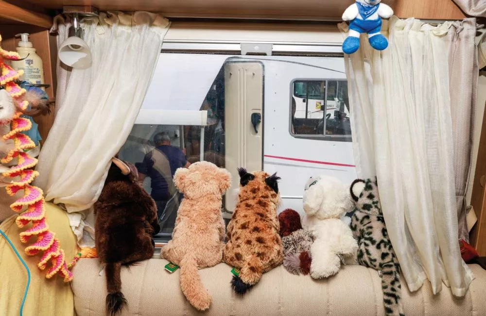 Une rangée de peluches est placée sur le rebord d'une fenêtre à l'intérieur d'un véhicule. Les rideaux sont tirés de chaque côté, et à l'extérieur, on peut voir un autre véhicule garé.