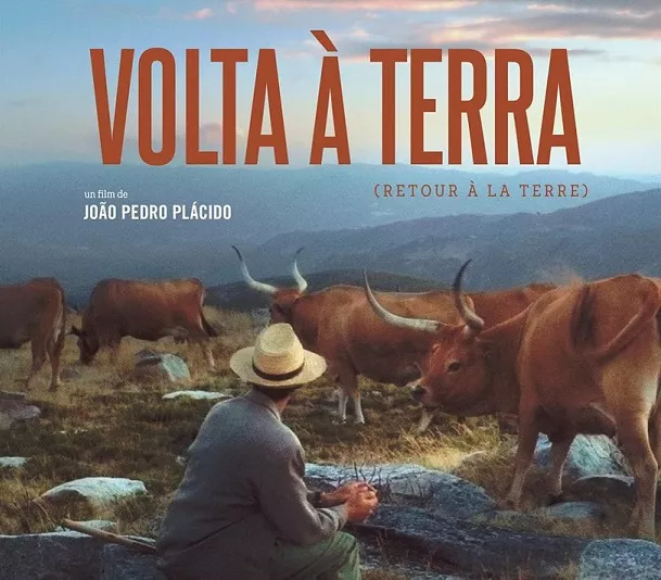 Un homme assis avec un chapeau regarde un troupeau de vaches dans un paysage de montagne. Le texte indique "Volta à Terra (Retour à la Terre)" et mentionne que c'est un film de João Pedro Plácido.