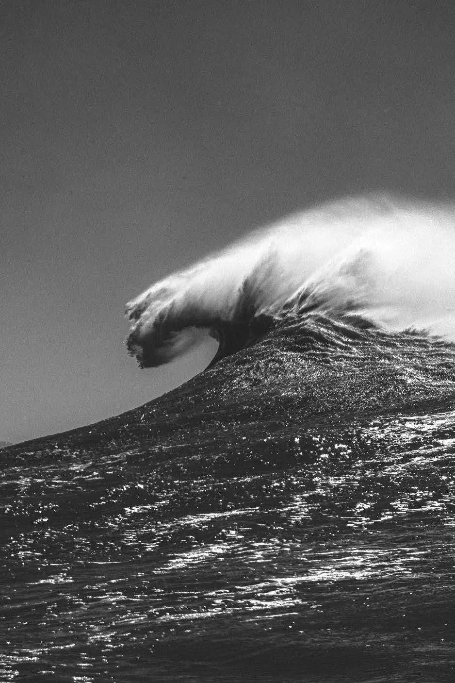 Une grande vague en noir et blanc, capturée au moment où elle se brise, avec des détails texturés sur l'eau et une crête mousseuse.