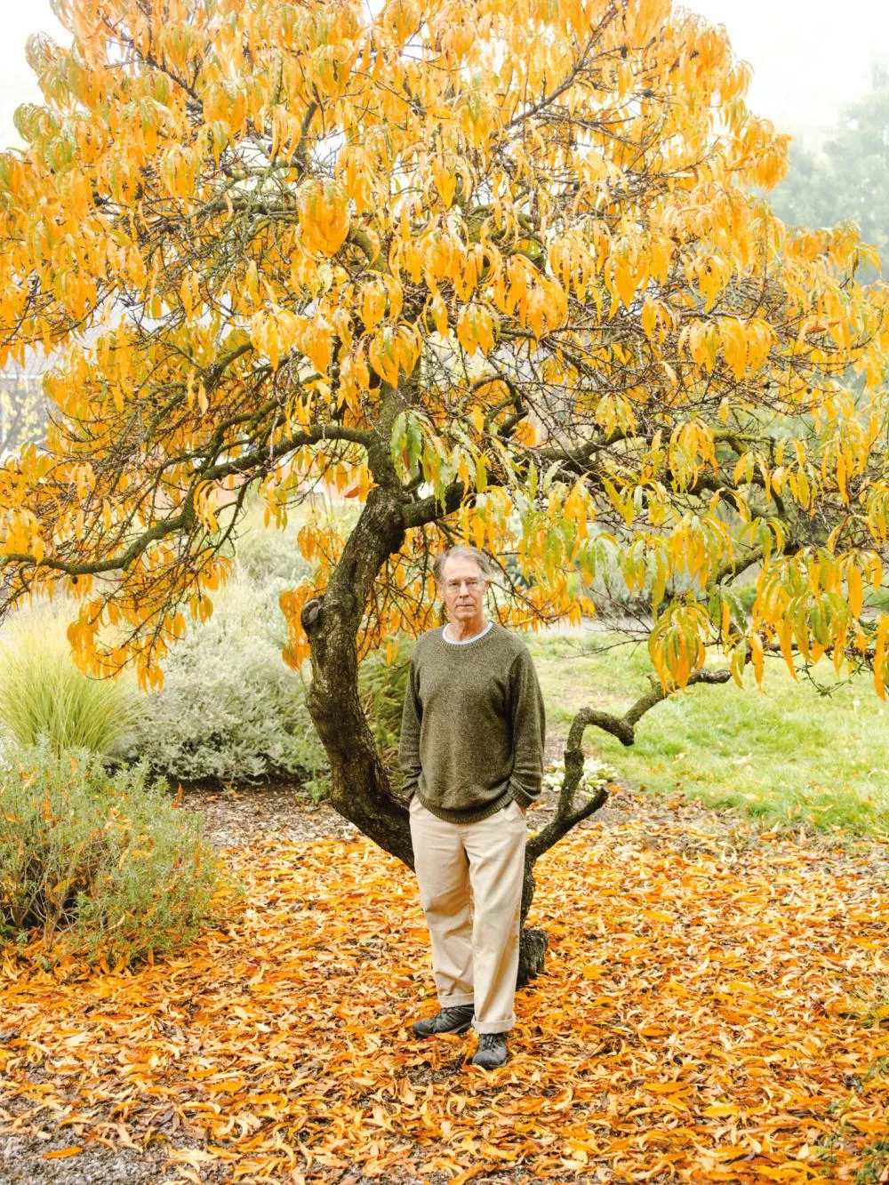 Un homme se tient debout sous un arbre aux feuilles d'automne de couleur jaune et orange. Le sol est couvert de feuilles tombées. L'homme porte un pull vert et un pantalon beige.
