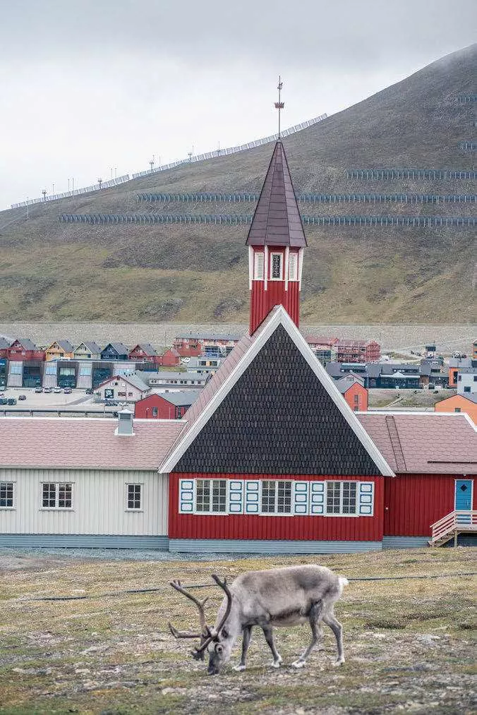 Un renne broutant devant une église rouge avec un clocher, située dans un paysage de collines et de maisons colorées en arrière-plan.