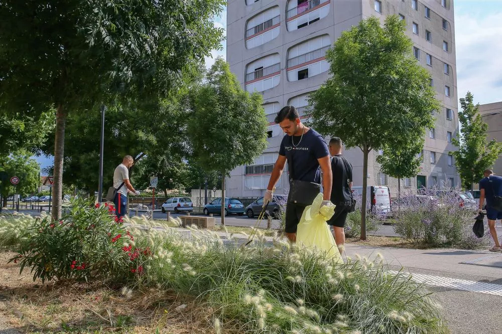 Des personnes ramassent des déchets dans un espace vert urbain, portant des gants et utilisant des sacs poubelle. En arrière-plan, on voit des bâtiments résidentiels et des voitures garées.