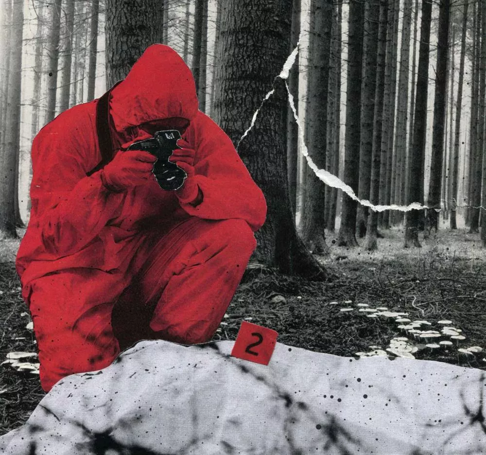 Une personne en combinaison rouge prend des photos dans une forêt, près d'un monticule marqué d'un numéro deux.
