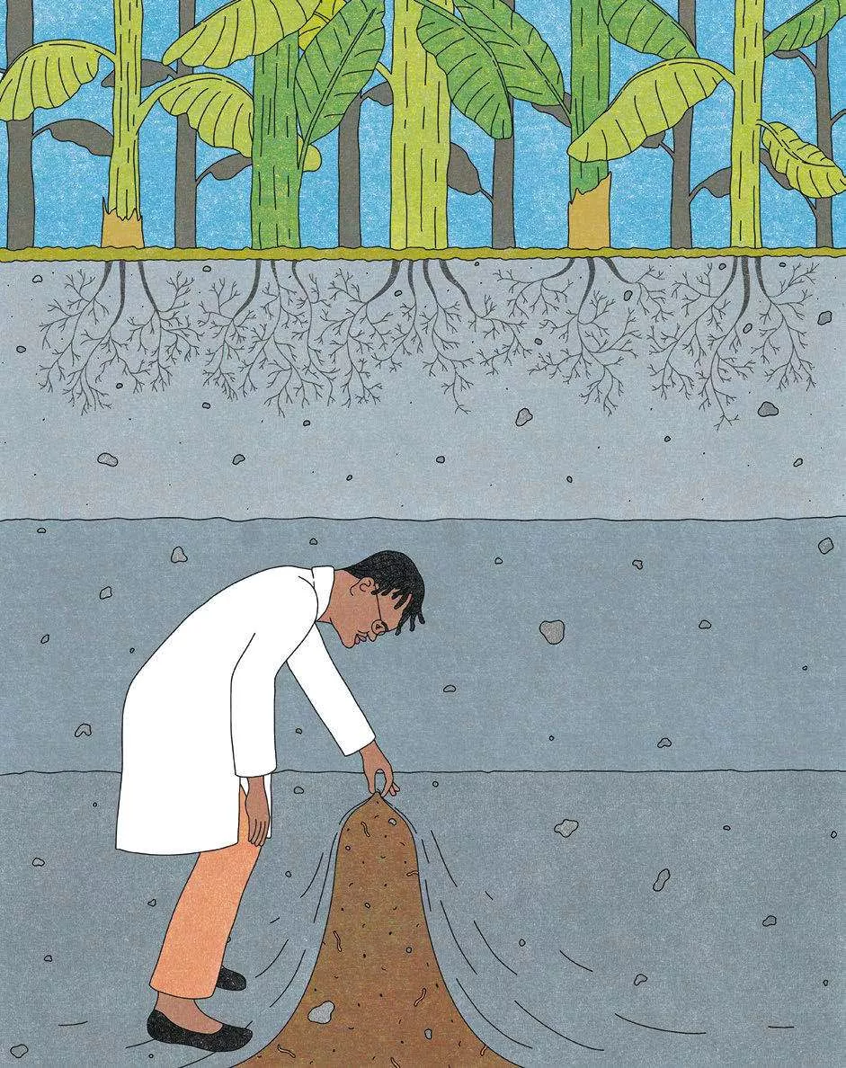 Un homme en blouse blanche examine un monticule de terre, avec en arrière-plan des arbres et leurs racines visibles sous le sol.