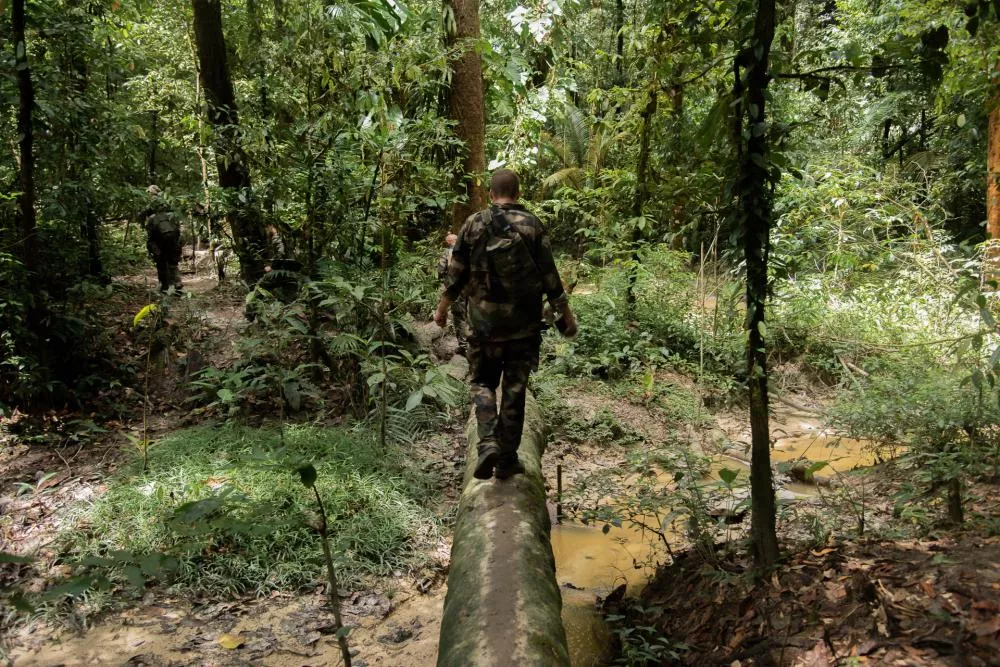 Des personnes en tenue de camouflage marchent dans une forêt dense, traversant un tronc d'arbre au-dessus d'un petit ruisseau.