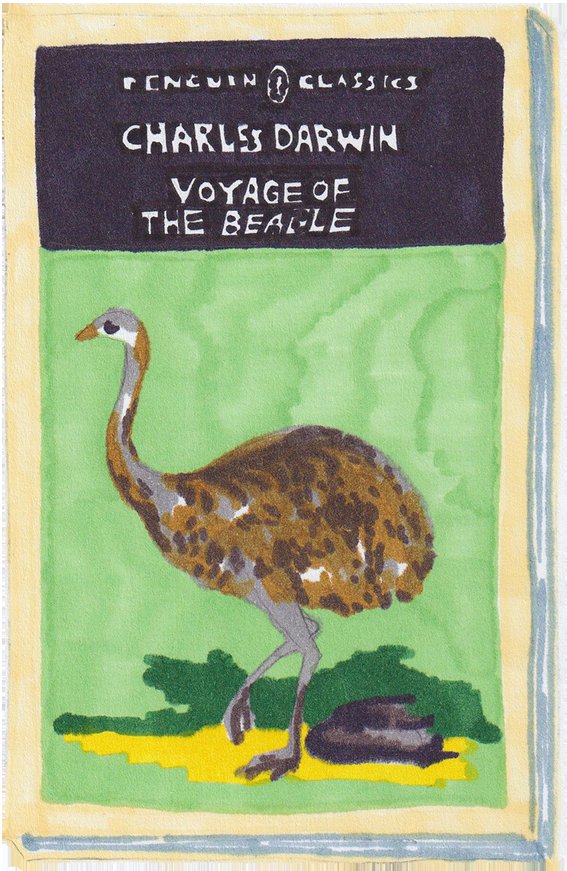 Une couverture de livre "Penguin Classics" avec le titre "Charles Darwin Voyage of the Beagle" et une illustration d'un oiseau ressemblant à une autruche sur un fond vert.