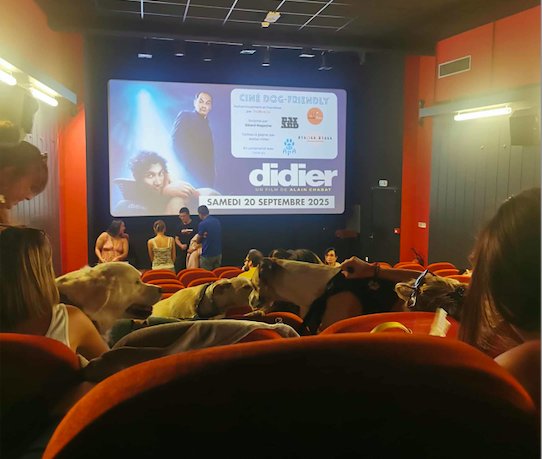 Une salle de cinéma avec plusieurs personnes accompagnées de chiens. L'écran affiche une annonce pour une séance spéciale "Ciné Dog-Friendly" avec le film "Didier", prévue pour le samedi 20 septembre 2025.