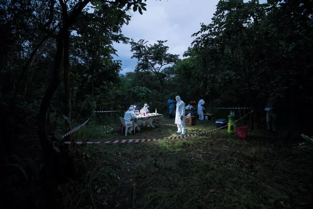 Des personnes en combinaisons de protection travaillent à l'extérieur, dans une zone boisée délimitée par des rubans de sécurité. Elles semblent effectuer des analyses ou des recherches sur une table éclairée.