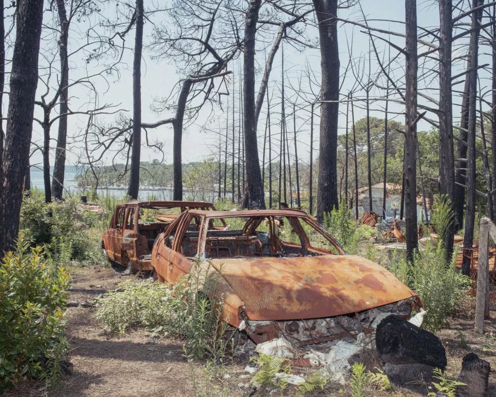 Deux voitures brûlées et rouillées se trouvent dans une forêt aux arbres calcinés, avec des buissons et de la végétation poussant autour. En arrière-plan, on aperçoit un lac ou une étendue d'eau.