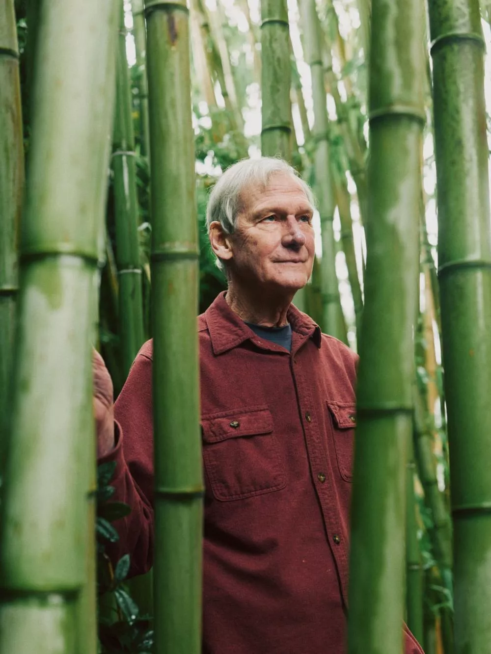 Un homme se tient debout parmi de grands bambous verts, portant une chemise rouge.